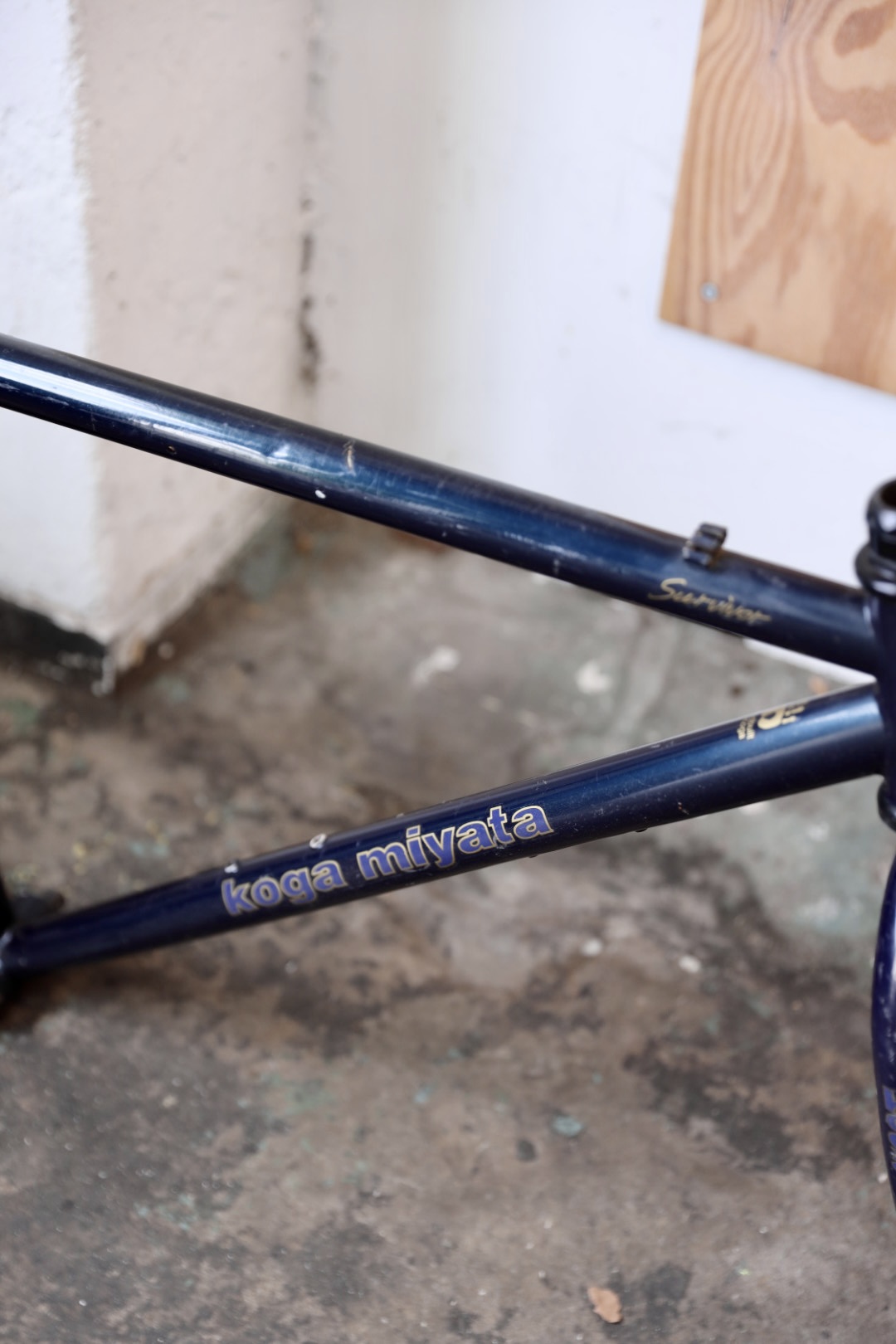 Koga Miyata Survivor 47x56 (M / 18,5")