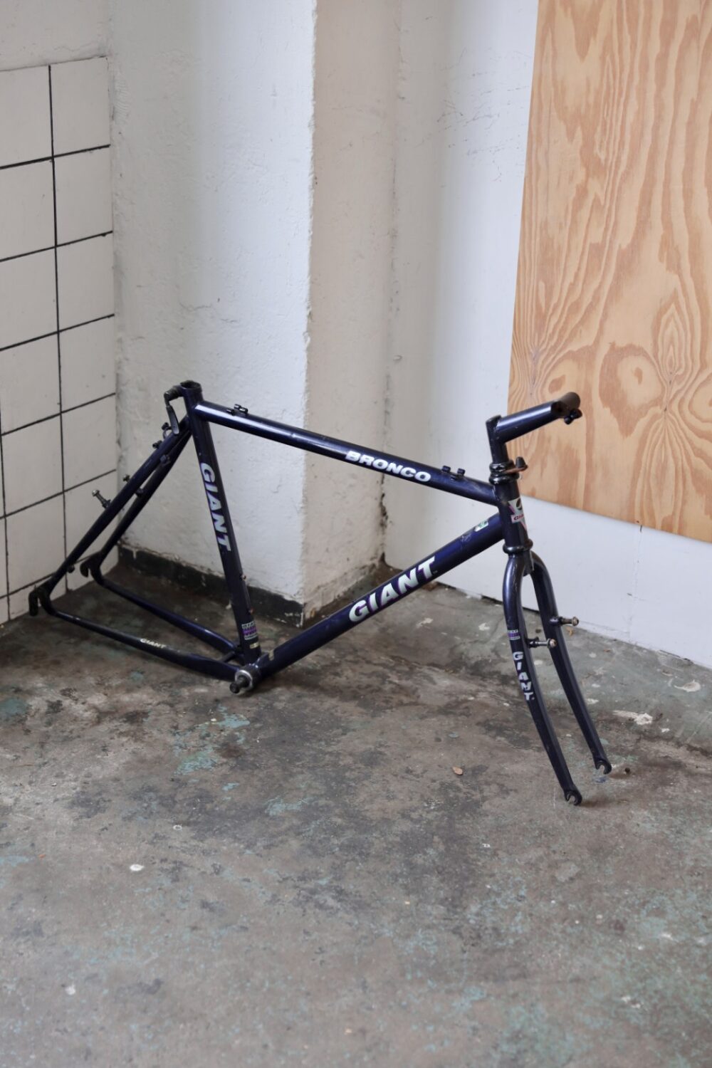 Giant Bronco 52x58 (L / 21")