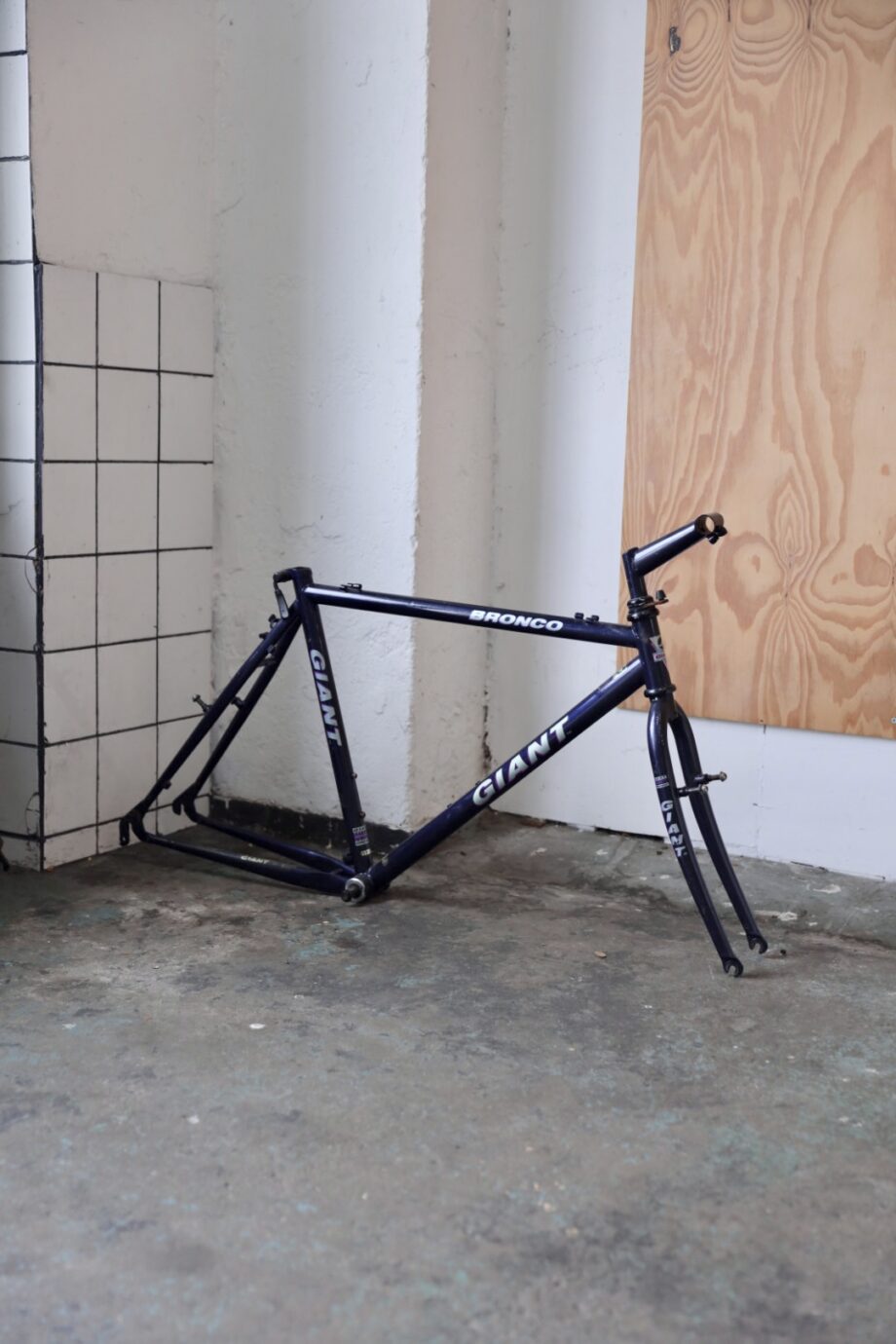 Giant Bronco 52x58 (L / 21")