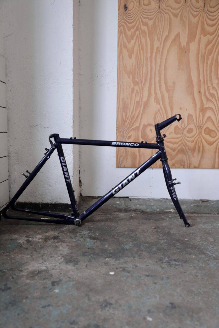 Giant Bronco 52x58 (L / 21")