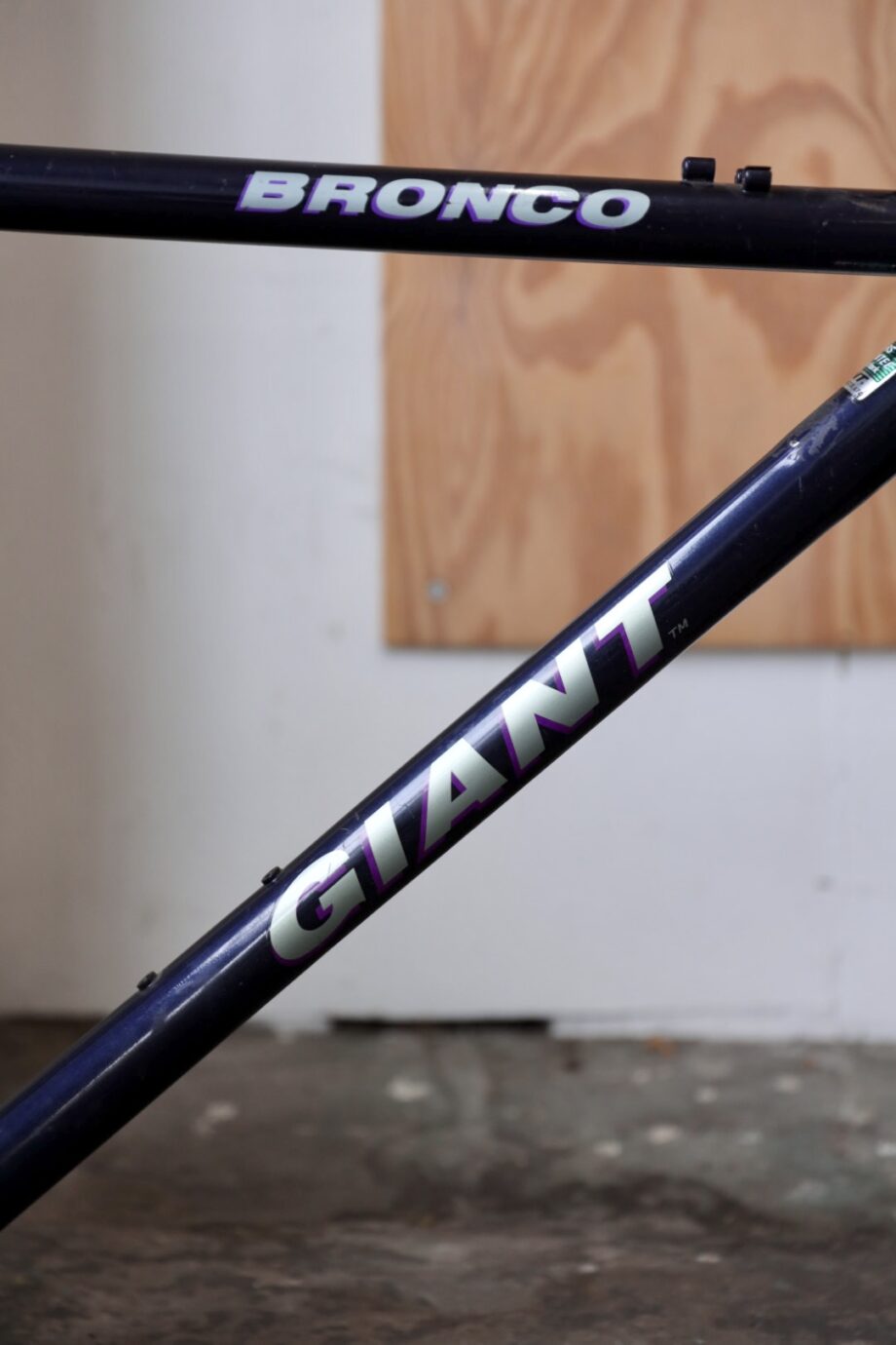 Giant Bronco 52x58 (L / 21")