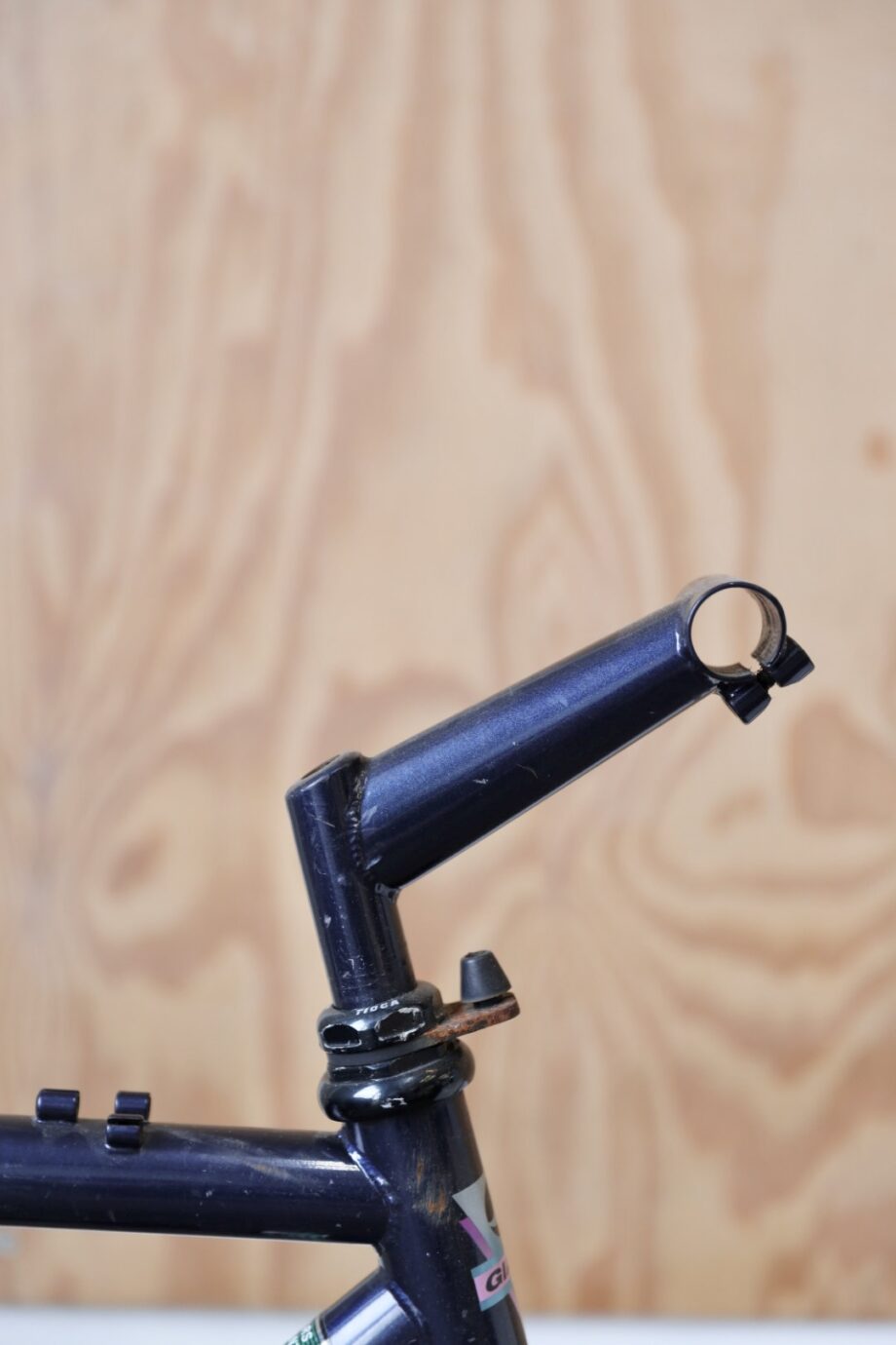 Giant Bronco 52x58 (L / 21")