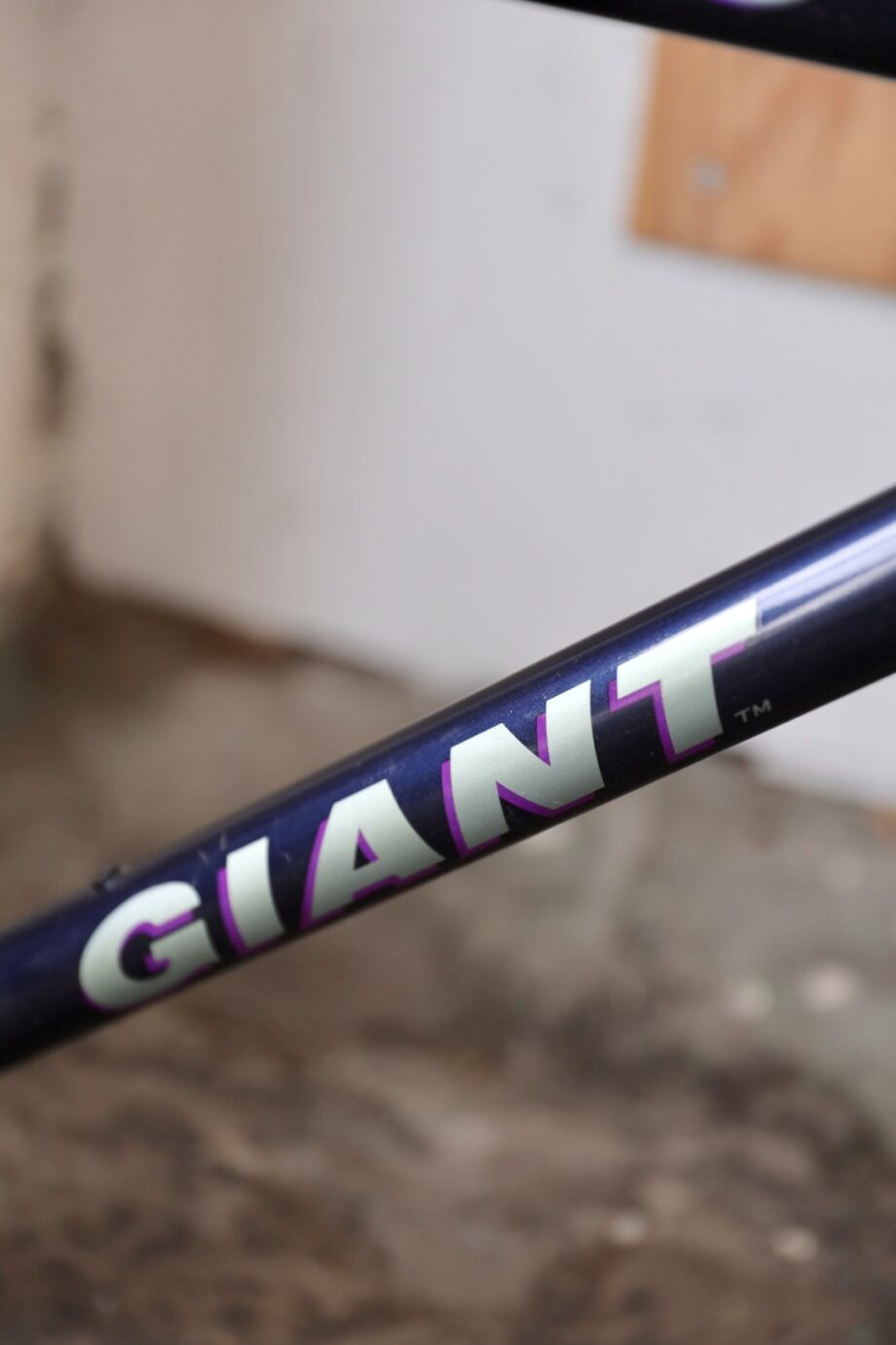 Giant Bronco 52x58 (L / 21")