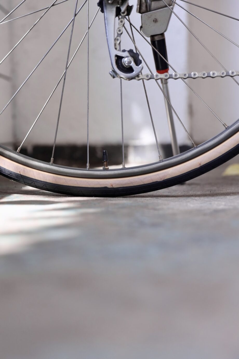 Koga Miyata Randonneur-Extra M/L 54 cm (1.65 — 1.85)