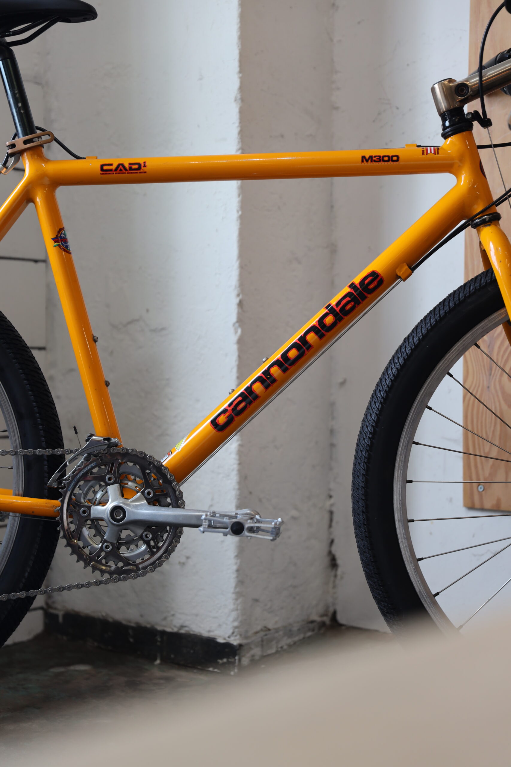 Cannondale M300 — L (1.70 — 1.90)