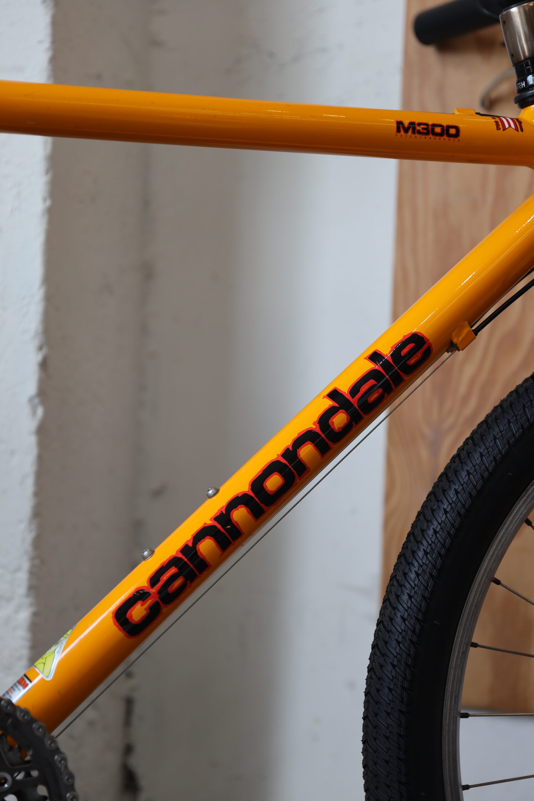 Cannondale M300 — L (1.70 — 1.90)