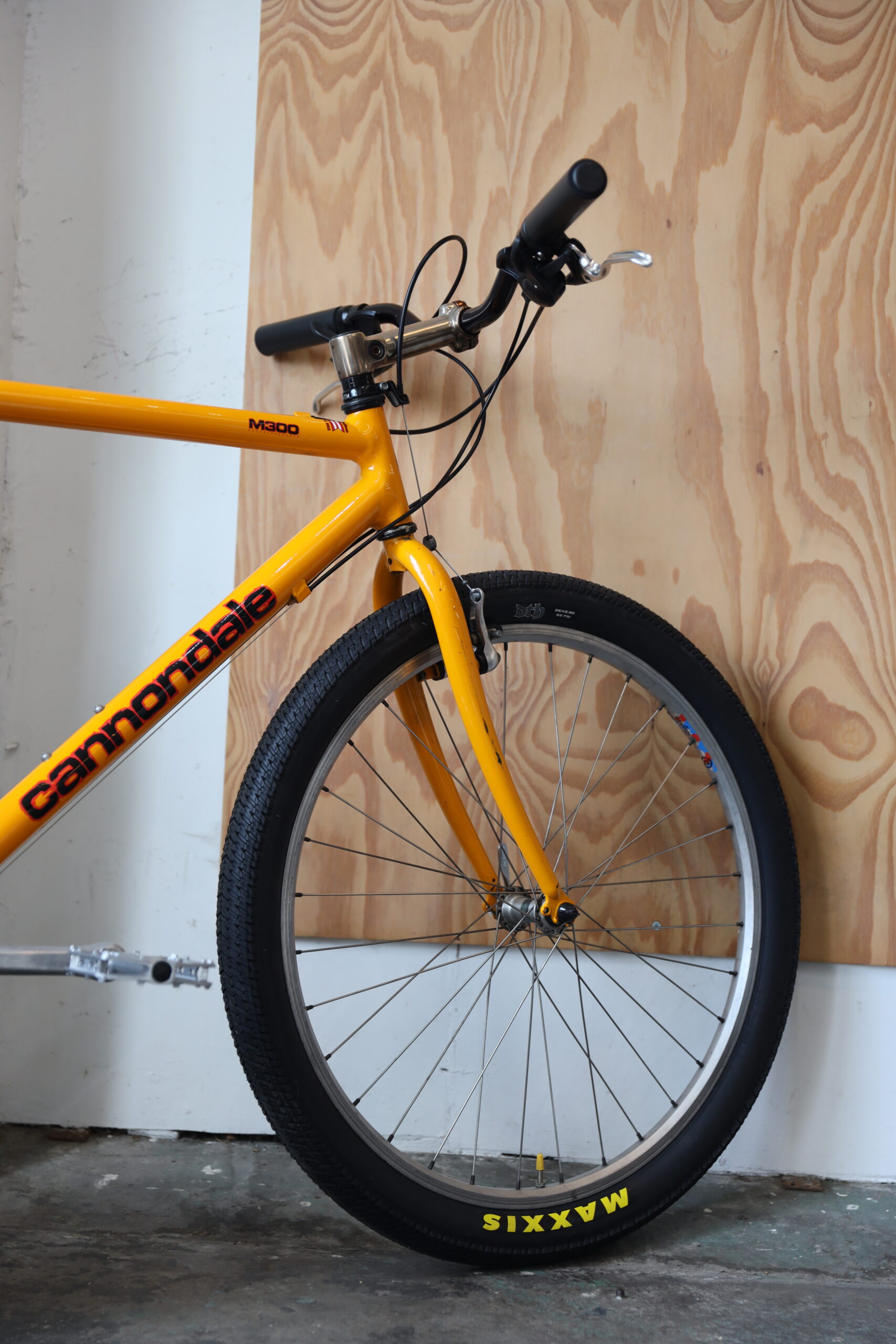 Cannondale M300 — L (1.70 — 1.90)