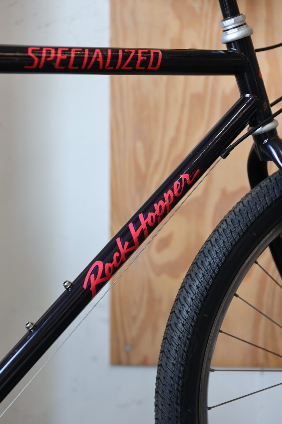 Specialized Rockhopper — L (1.70 — 1.90)