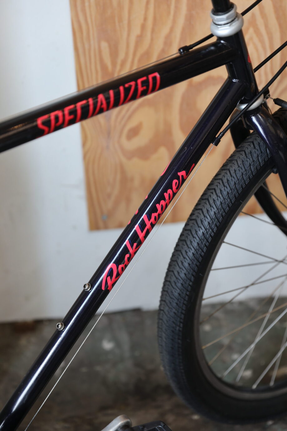 Specialized Rockhopper — L (1.70 — 1.90)