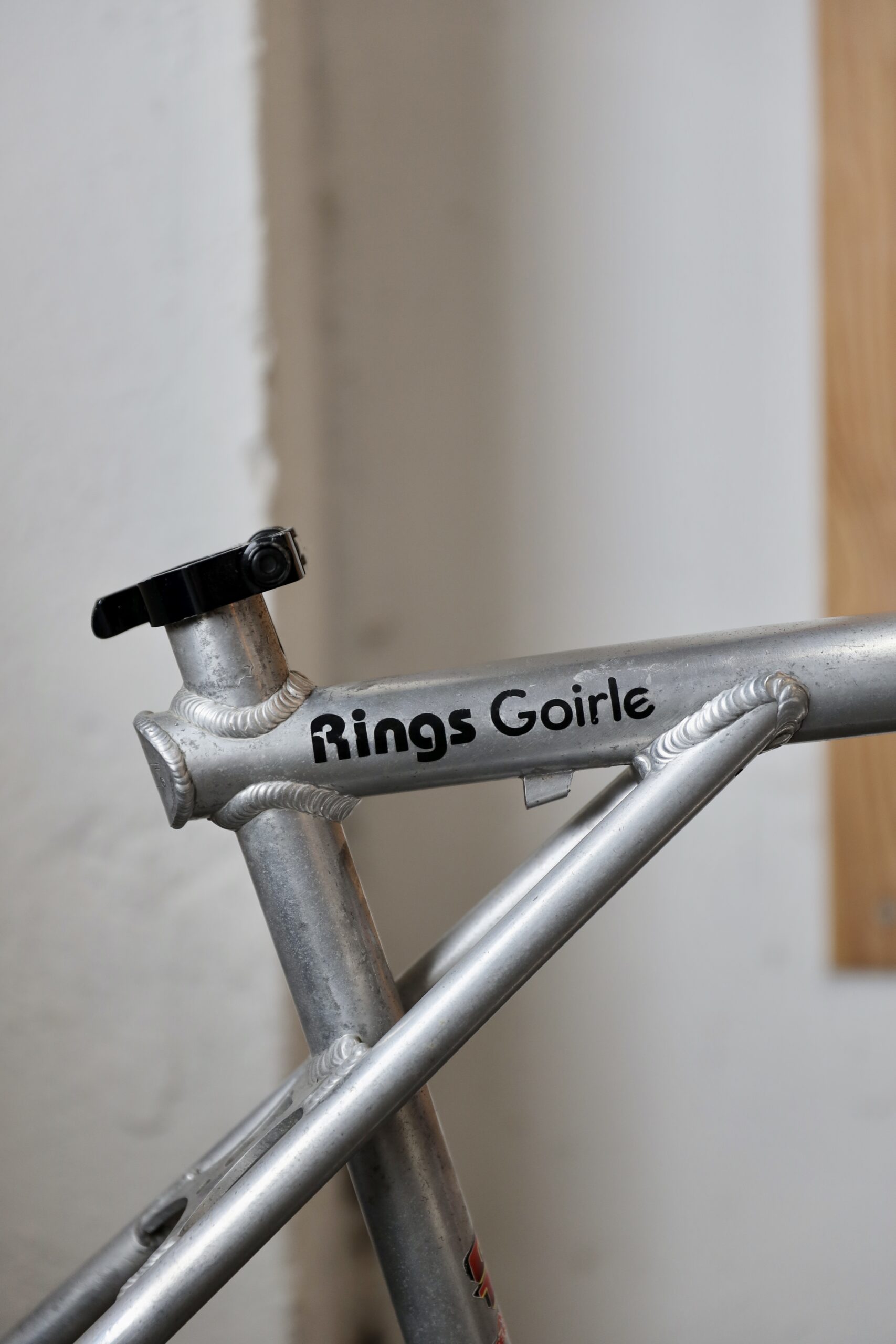 GT Avalanche — 20" (L)