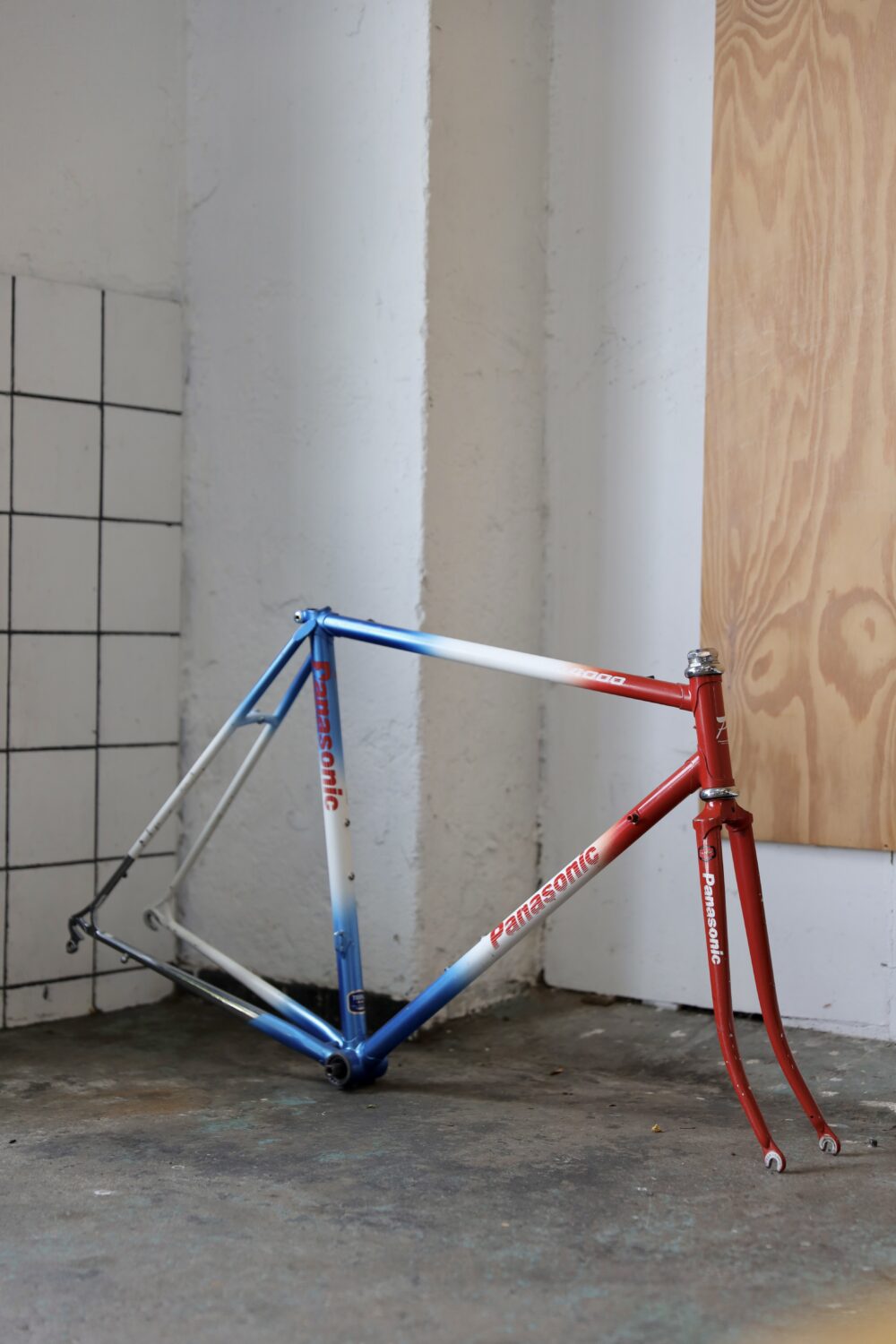 Panasonic DX4000 — 54 cm (M)