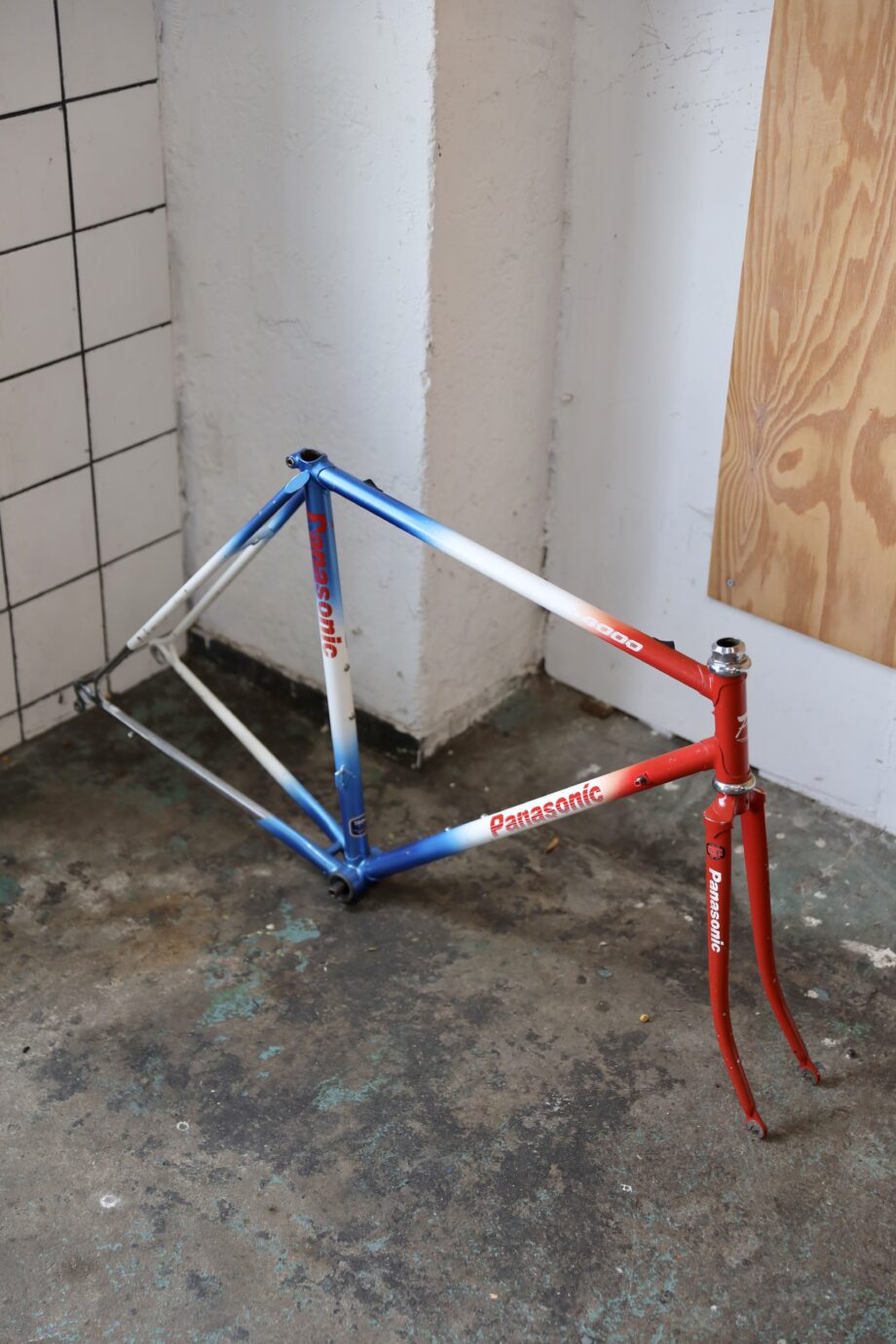 Panasonic DX4000 — 54 cm (M)
