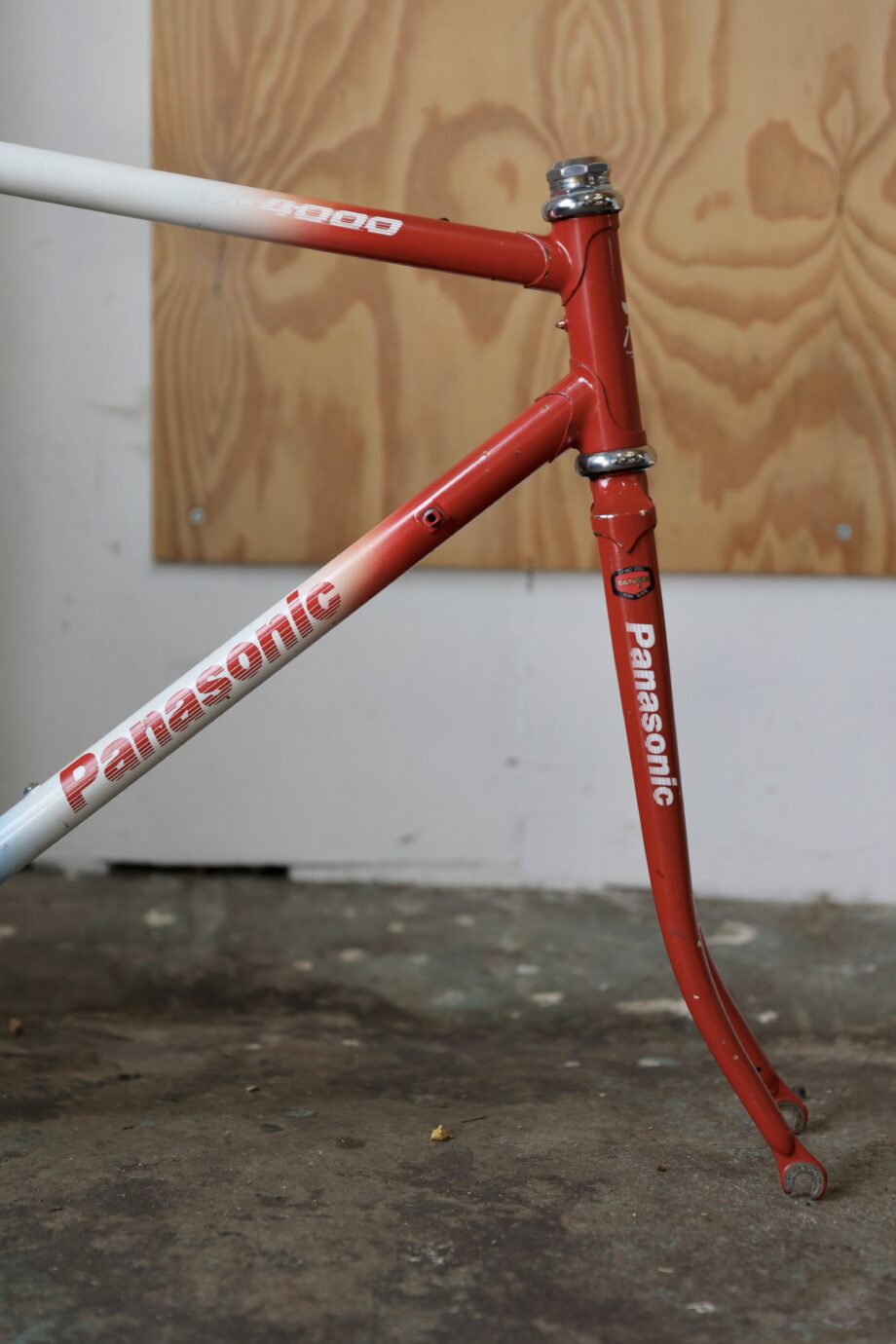 Panasonic DX4000 — 54 cm (M)