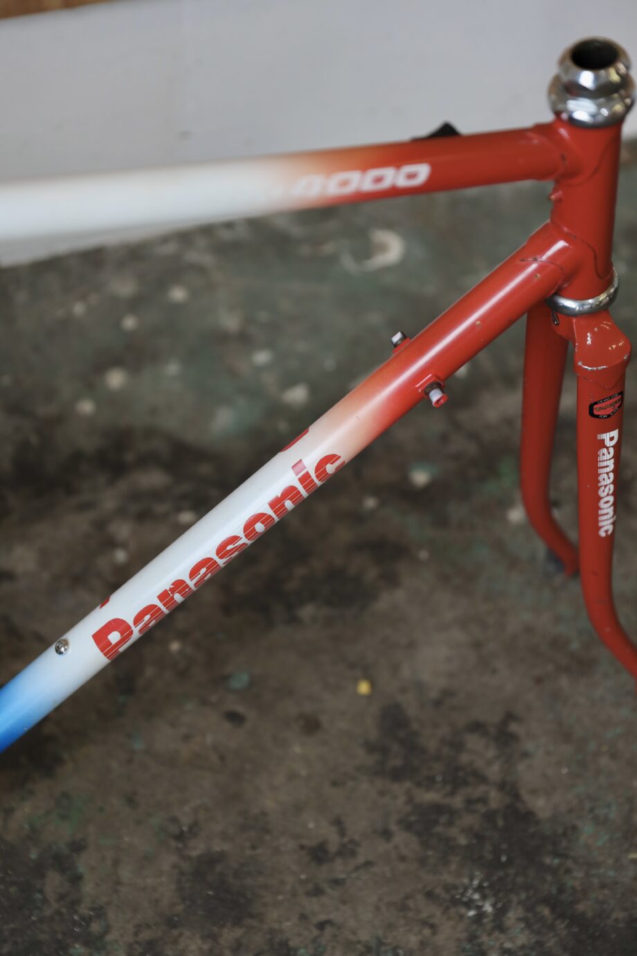 Panasonic DX4000 — 54 cm (M)