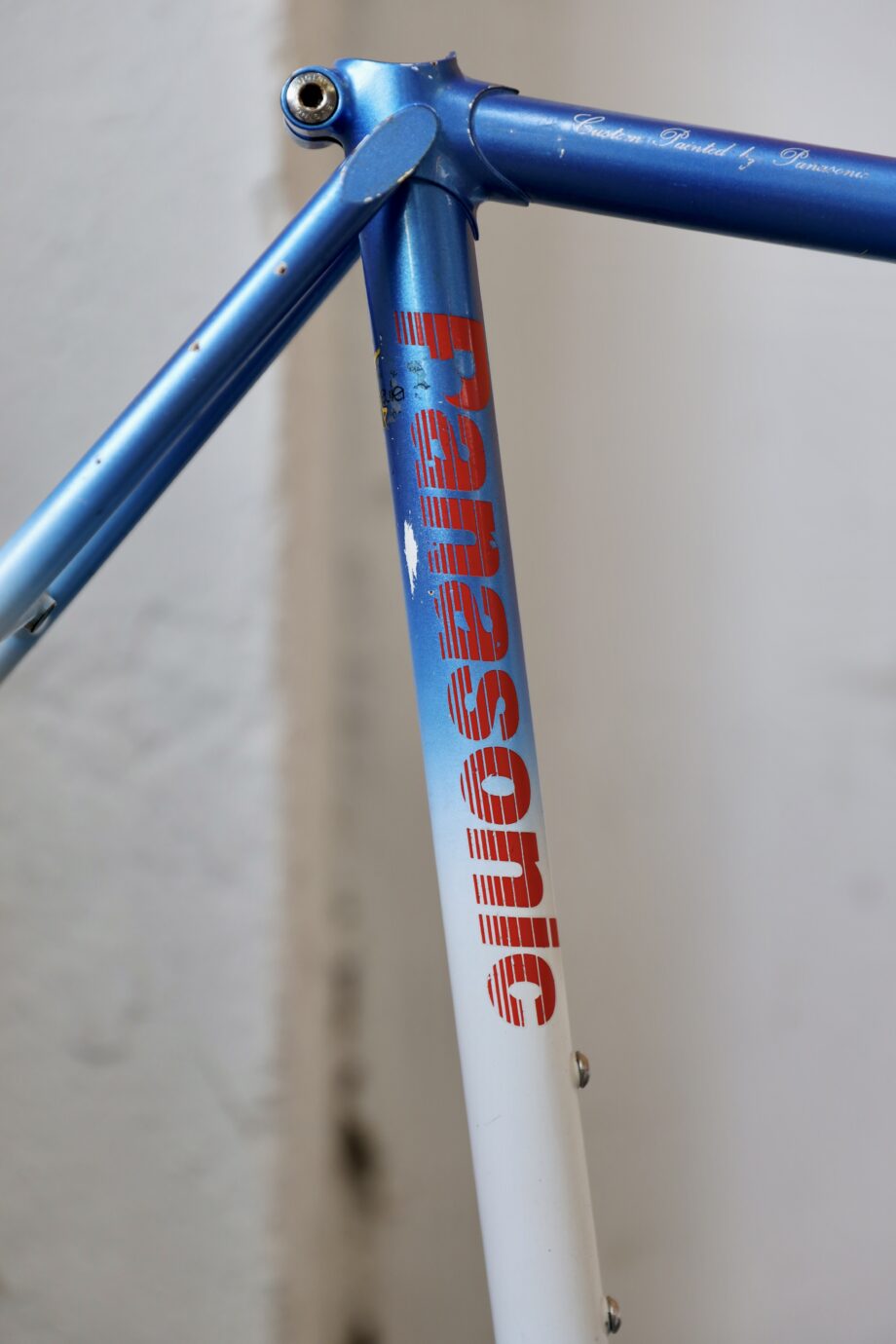 Panasonic DX4000 — 54 cm (M)