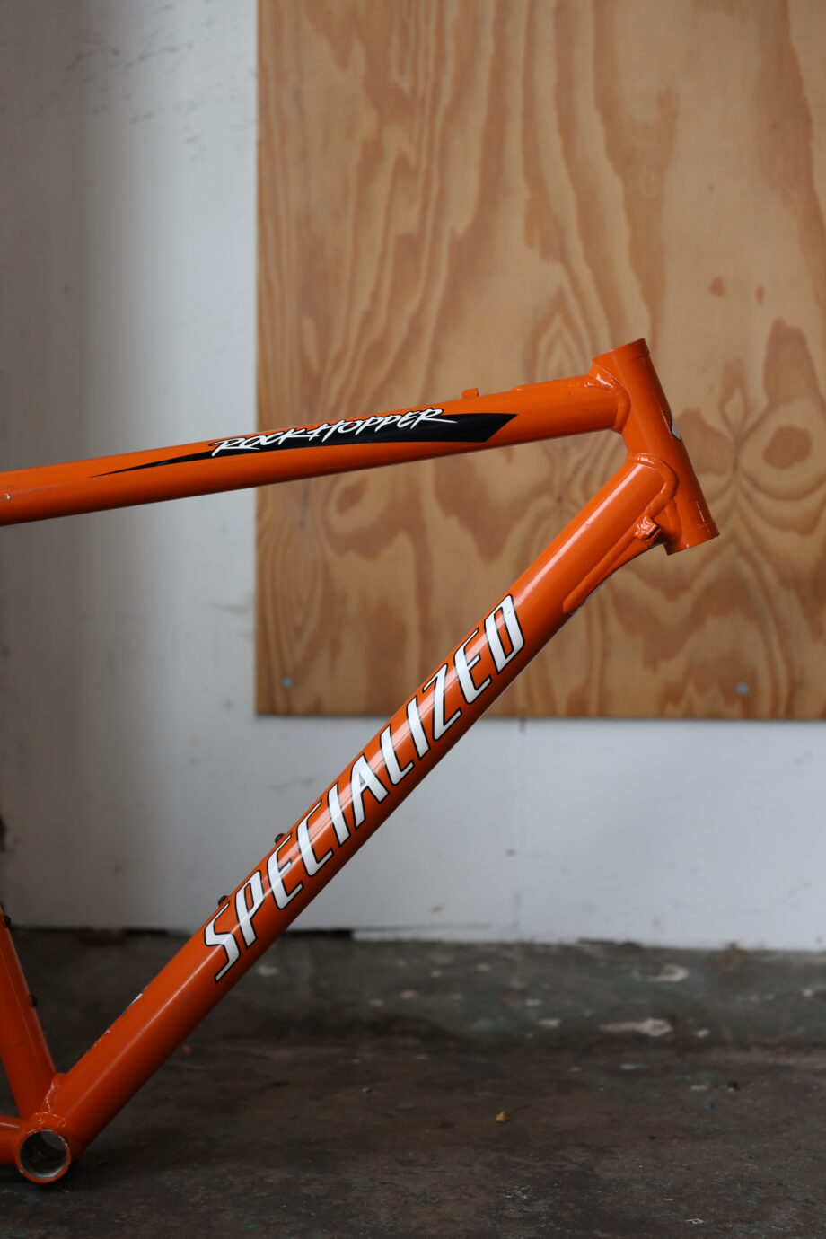 Specialized Rockhopper — 21" (L)