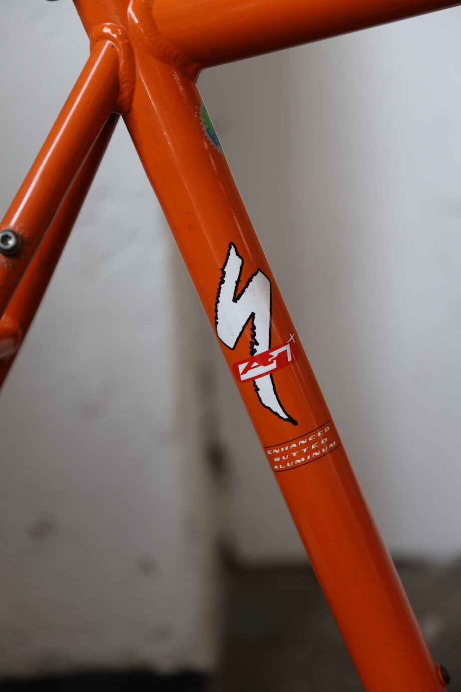 Specialized Rockhopper — 21" (L)