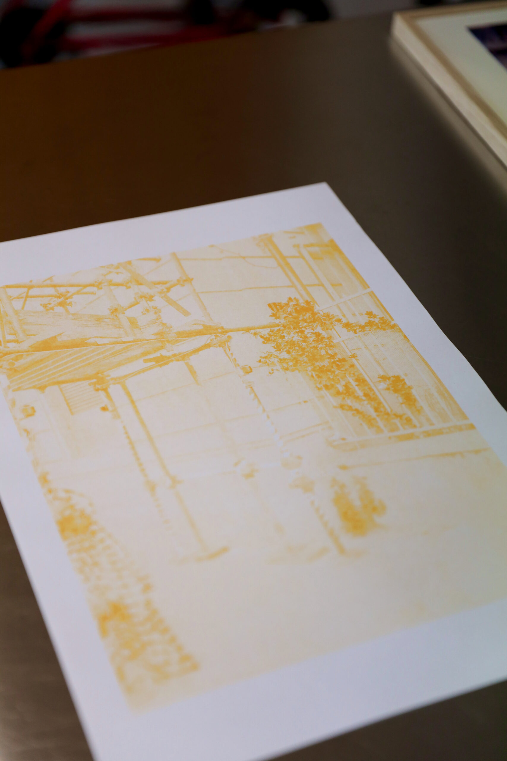 Riso photo print