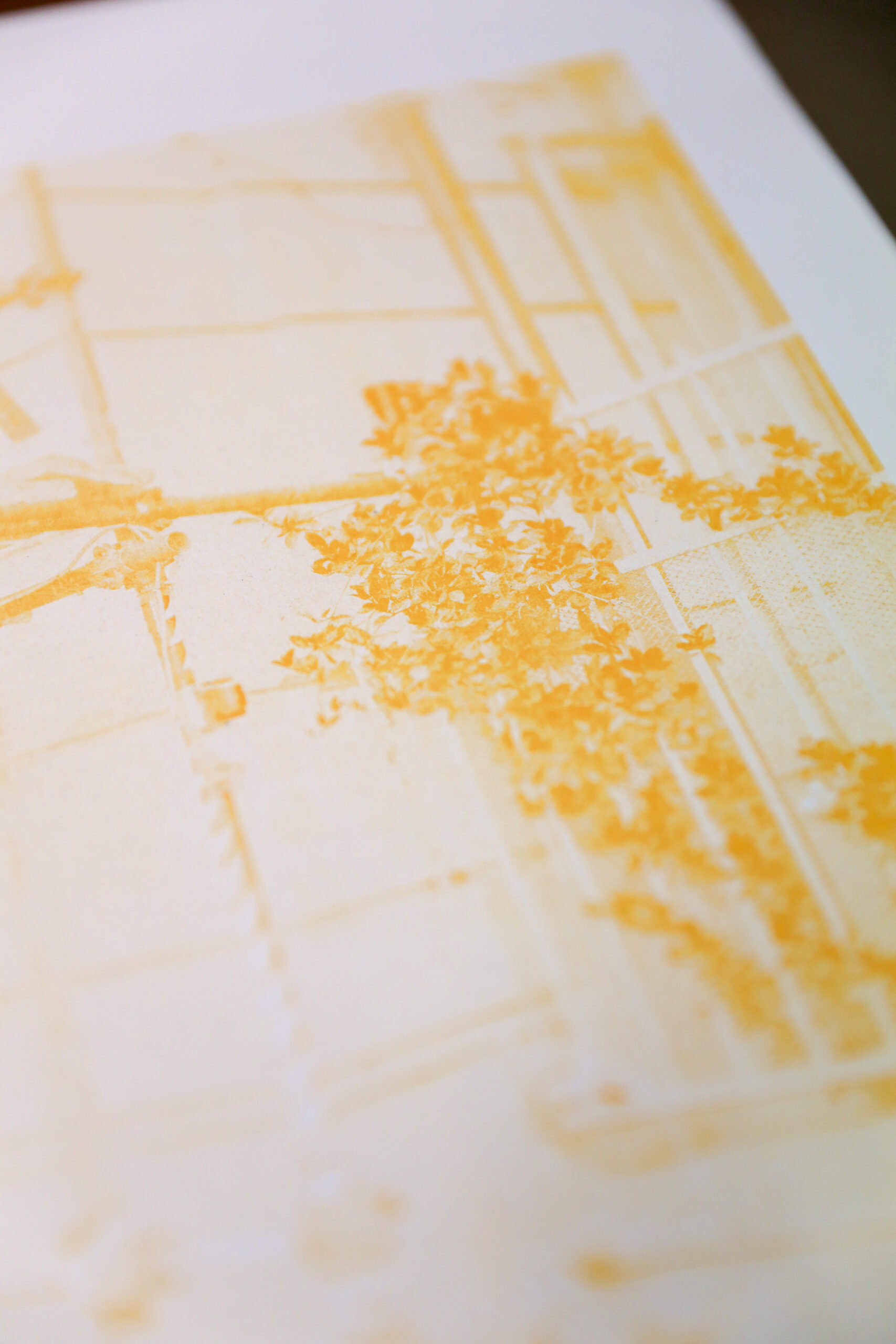 Riso photo print