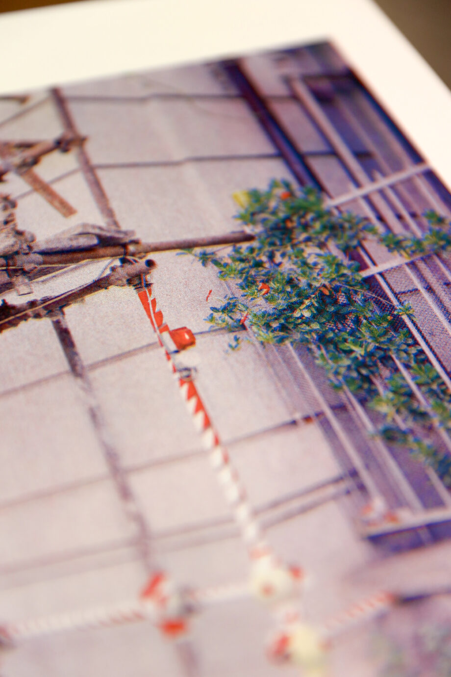 Riso photo print