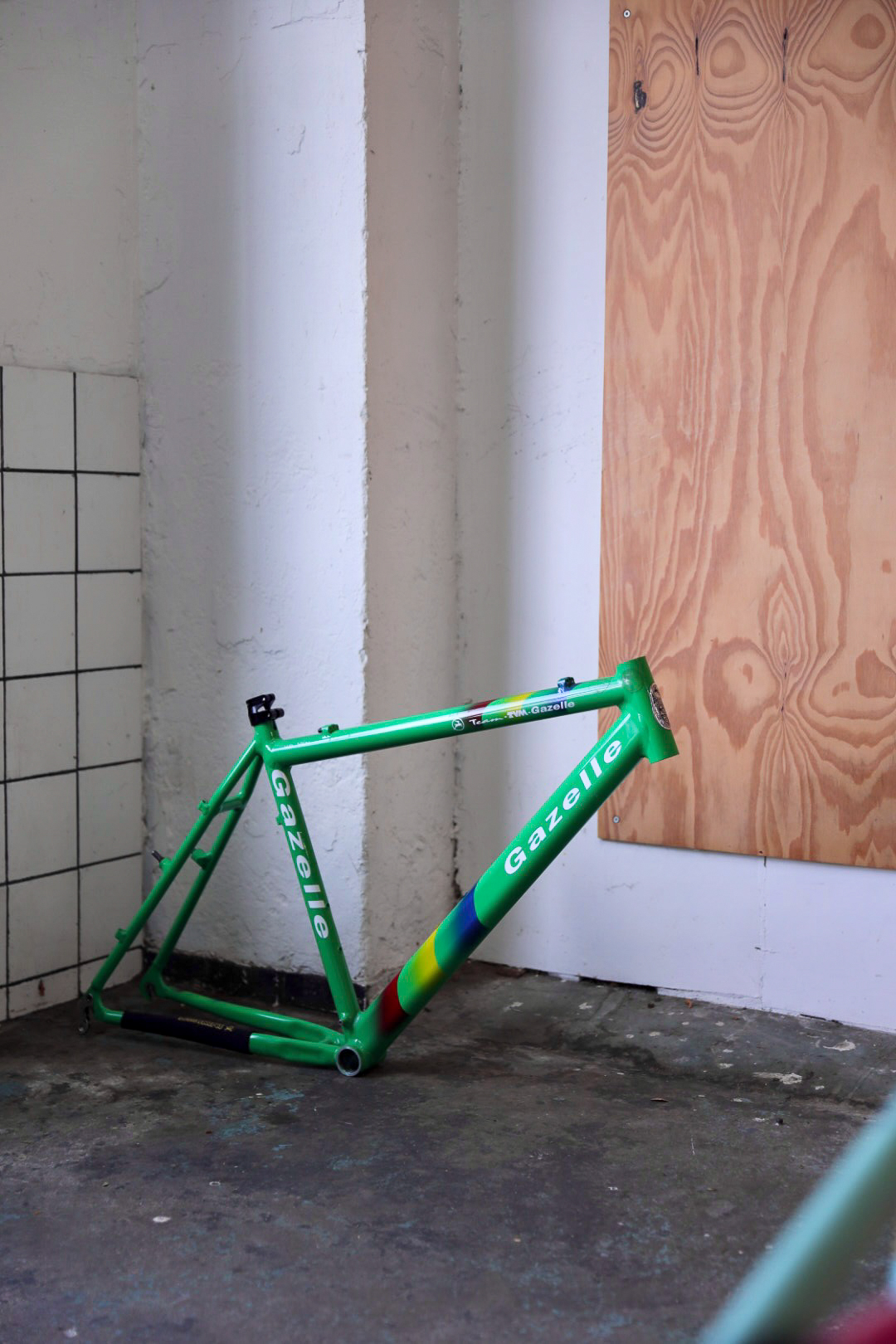 Gazelle TVM Team — 19" (M)