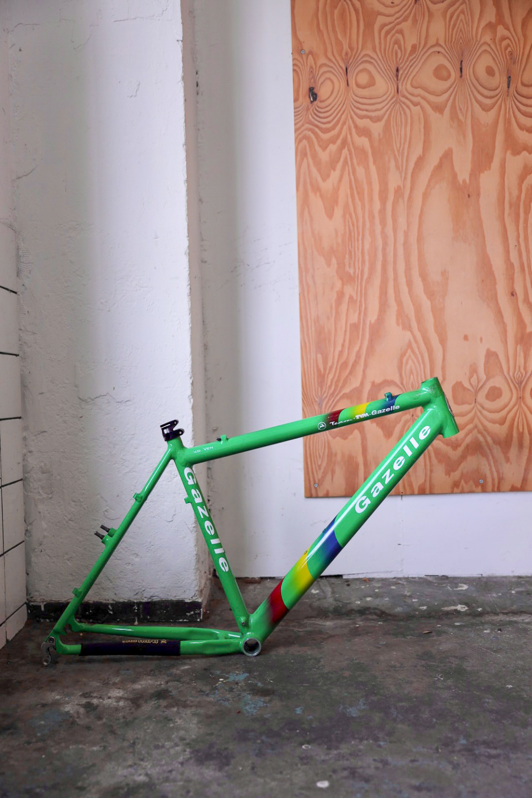 Gazelle TVM Team — 19" (M)