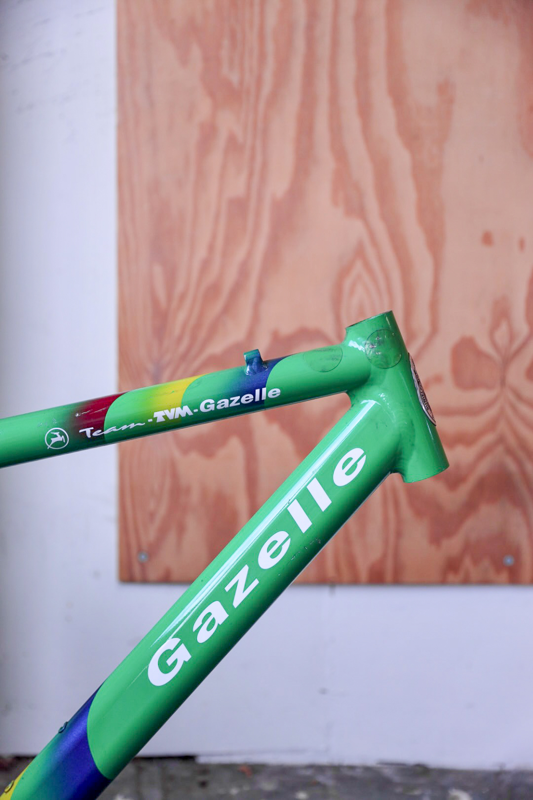 Gazelle TVM Team — 19" (M)