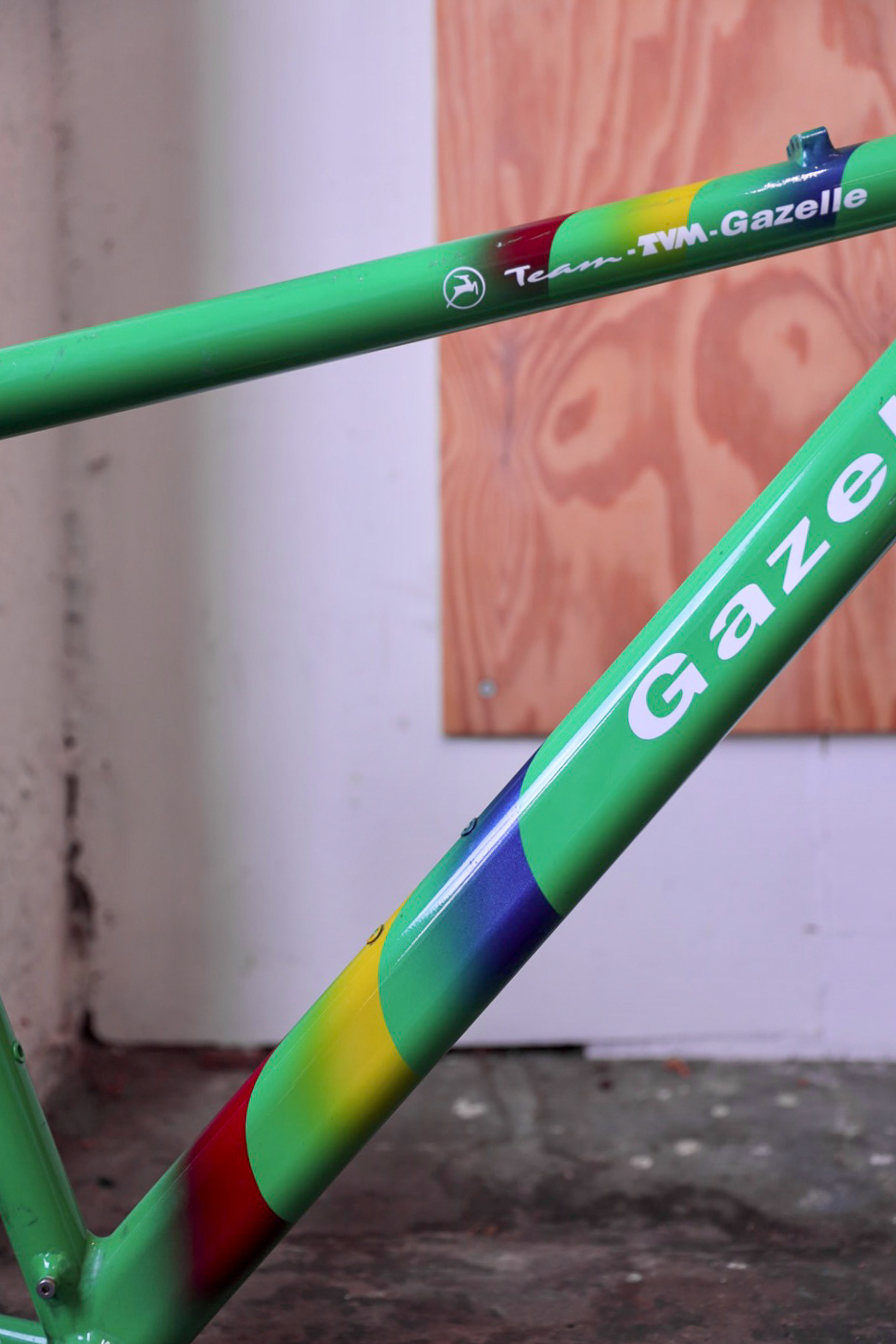 Gazelle TVM Team — 19" (M)