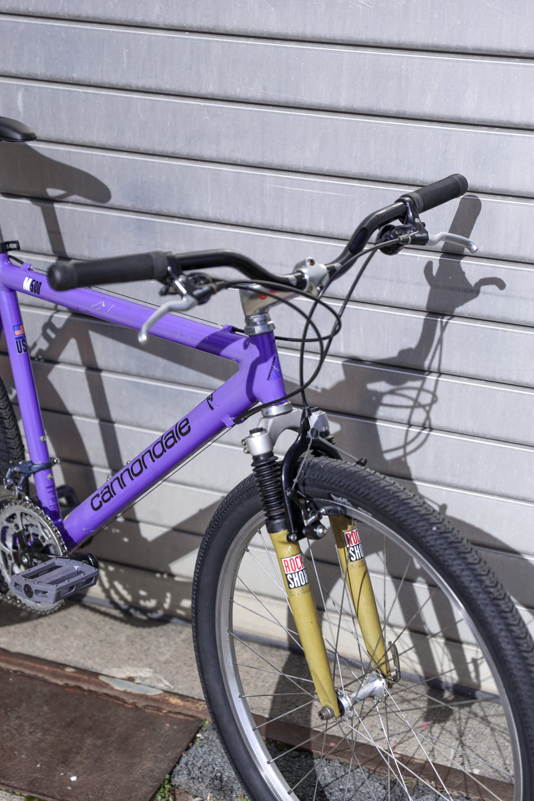 Cannondale M500 — 20″ / L (1.70 — 1.90)