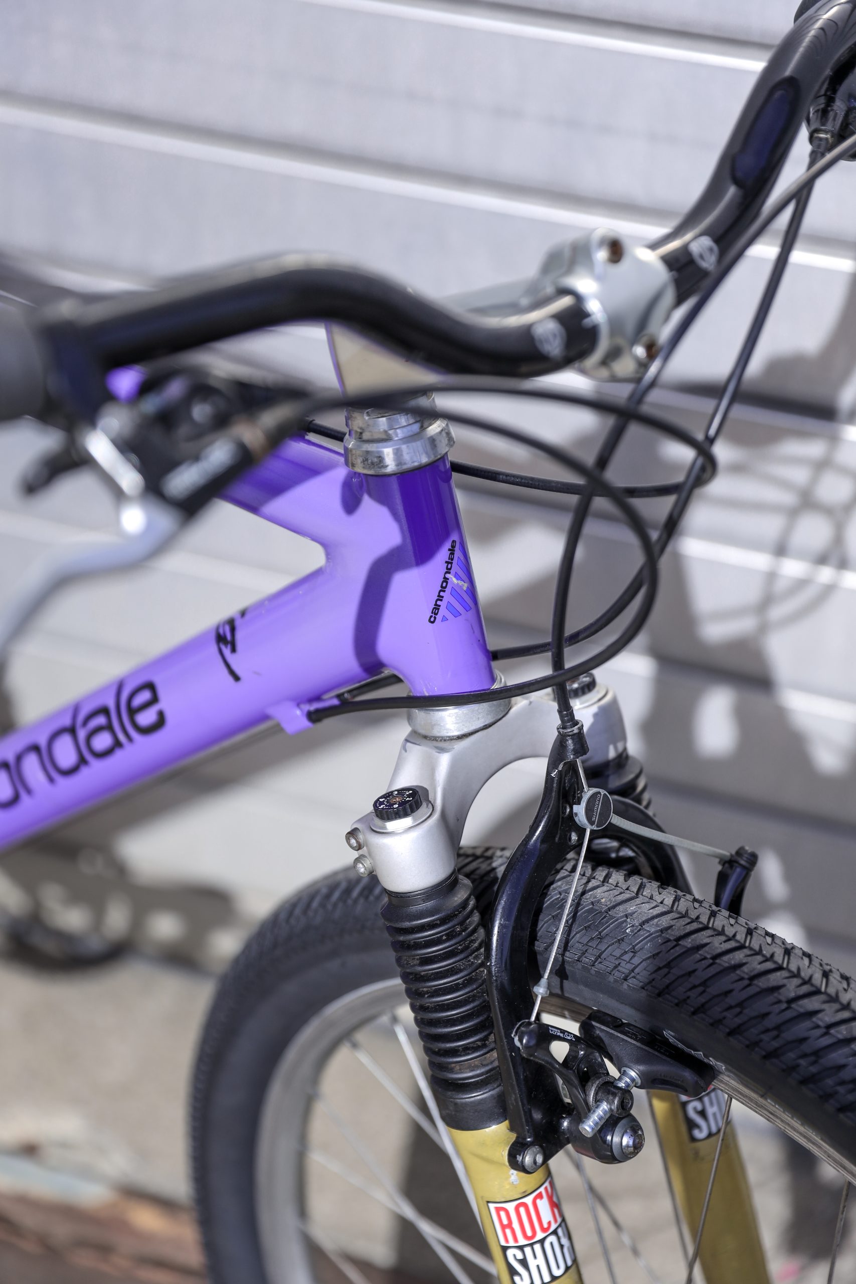 Cannondale M500 — 20″ / L (1.70 — 1.90)