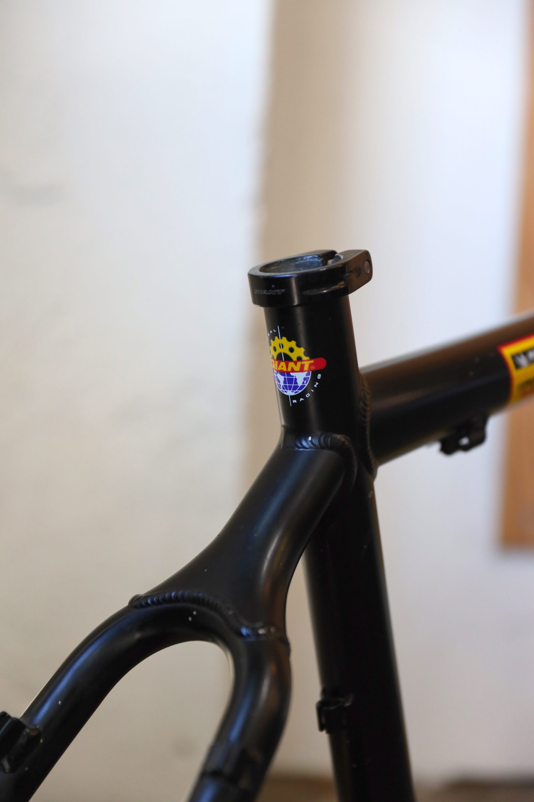 2003 Giant XTC Team — 19" (L)